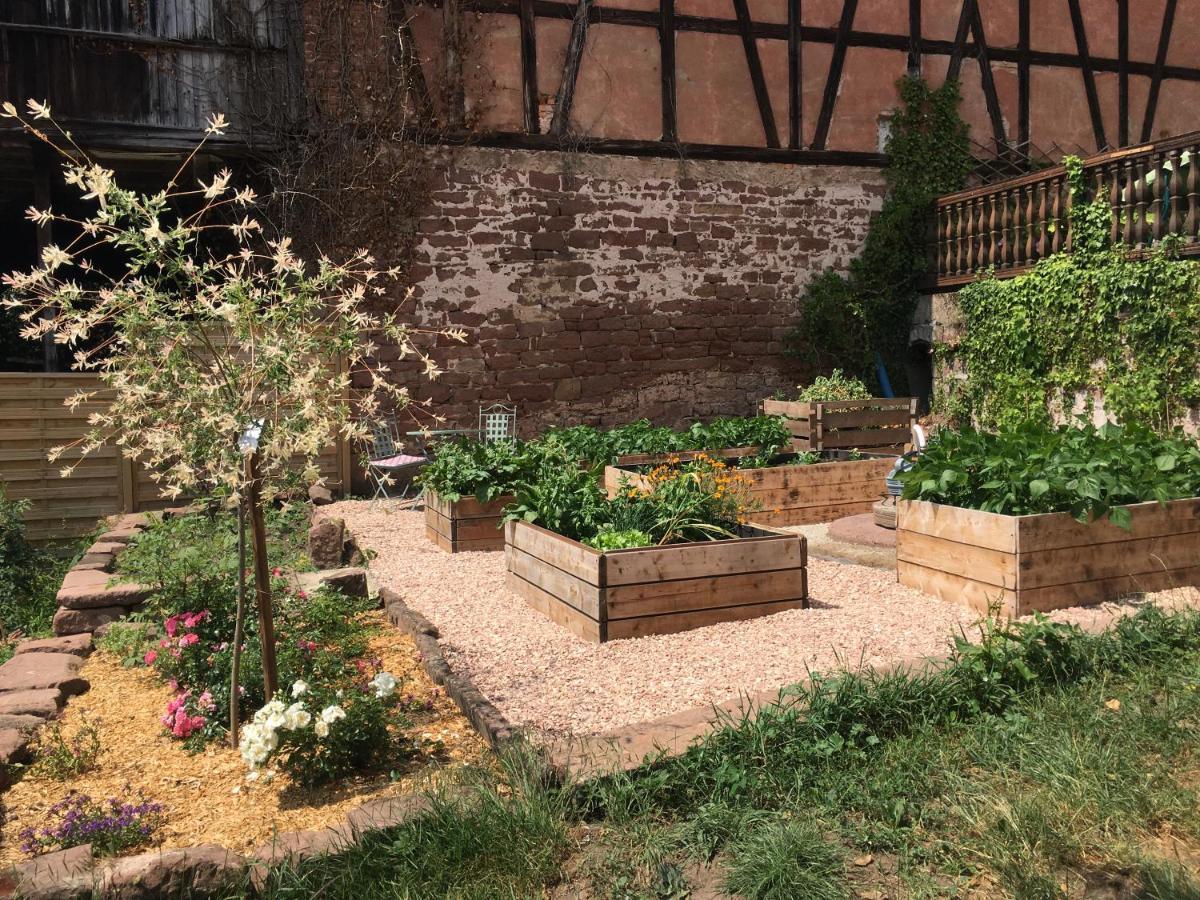 Au Relais De L'Histoire Gite Classe 4 Etoiles Oberbronn Luaran gambar